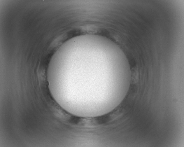 X0000082140713200702021609