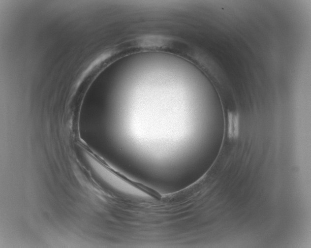 X0000082140723200702021608