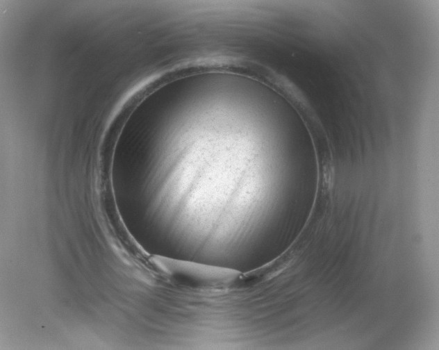 X0000082140724200702021608