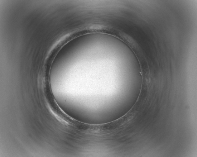 X0000082140728200702021608