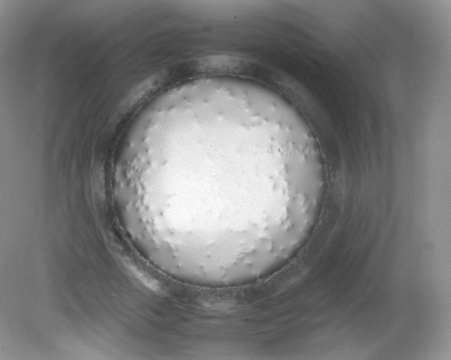 X0000082140729200702021608