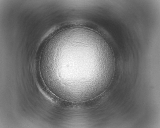 X0000082140730200702021608