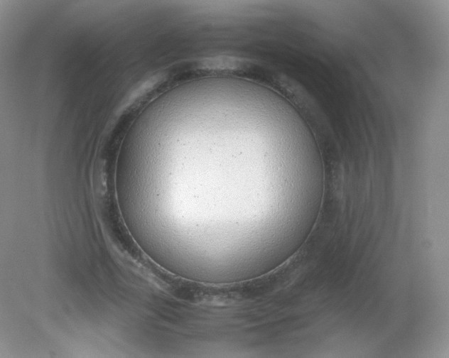 X0000082140731200702021608