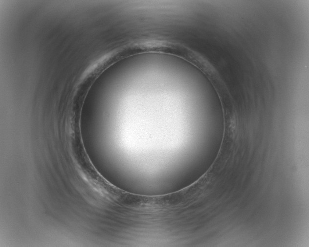X0000082140732200702021608