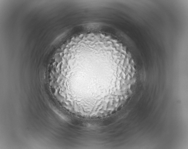 X0000082140733200702021608