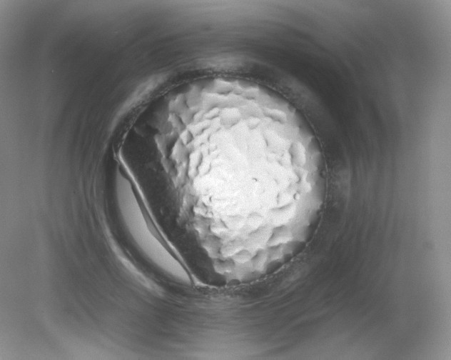 X0000082140734200702021608