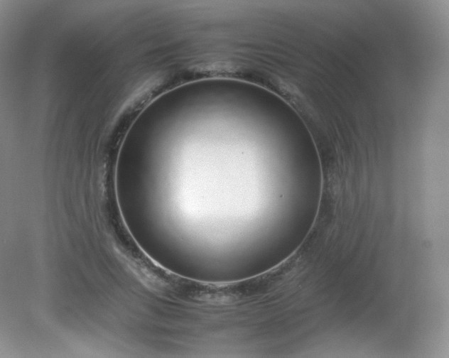 X0000082140735200702021608