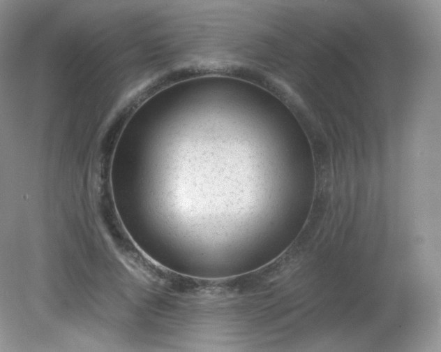 X0000082140736200702021608