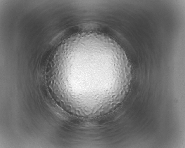 X0000082140737200702021608