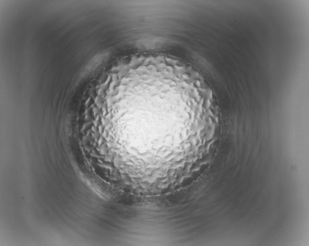 X0000082140738200702021608