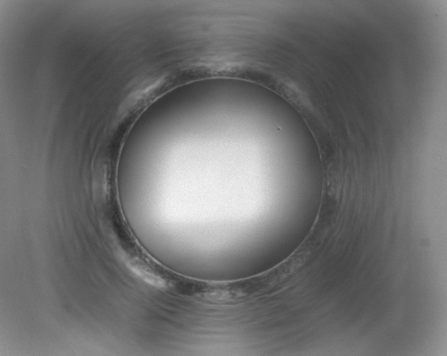 X0000082140740200702021608