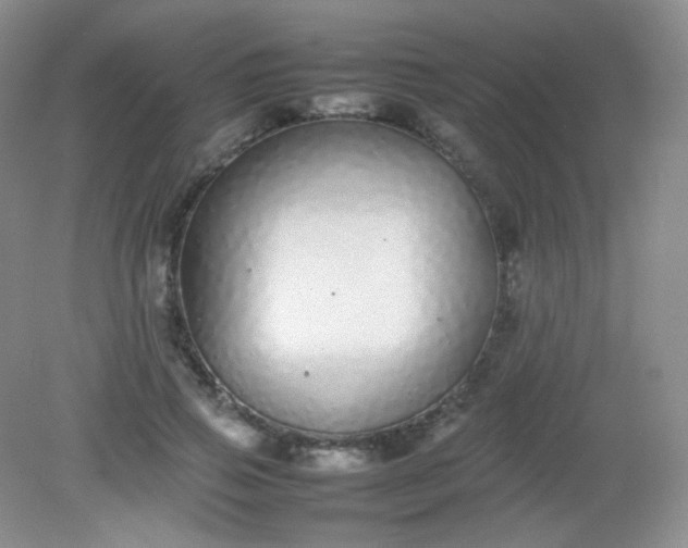 X0000082140741200702021609