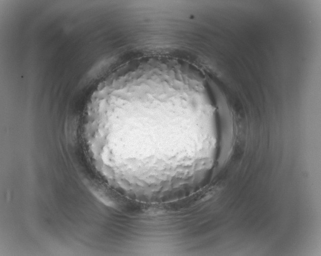 X0000082140742200702021609