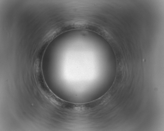 X0000082140744200702021609