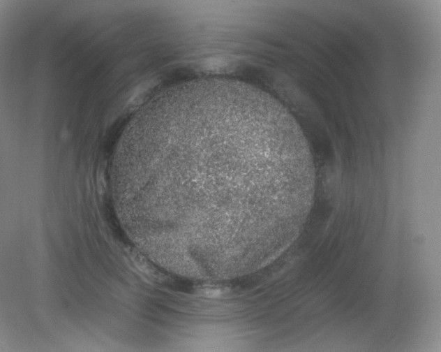 X0000082140746200702021609