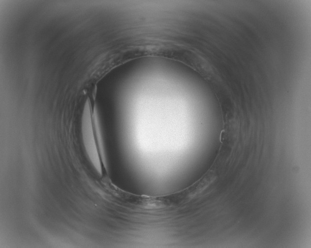 X0000082140750200702021609