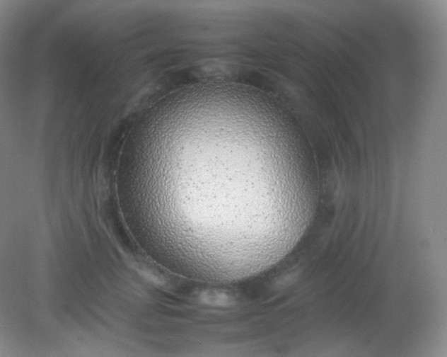 X0000082140751200702021609