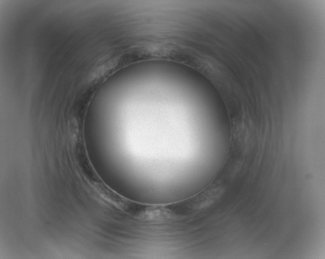 X0000082140752200702021609