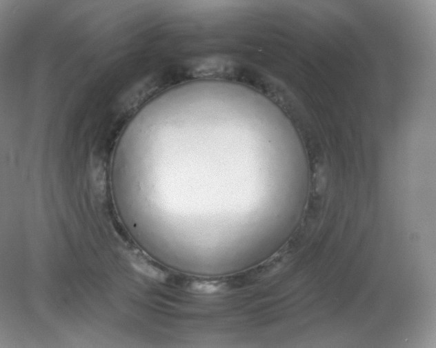 X0000082140753200702021609
