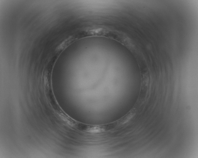 X0000082140754200702021609
