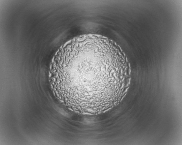 X0000082140757200702021609
