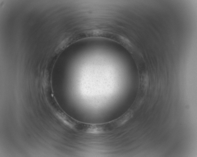 X0000082140760200702021609