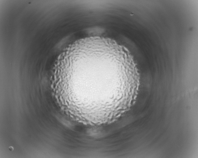X0000082140761200702021609