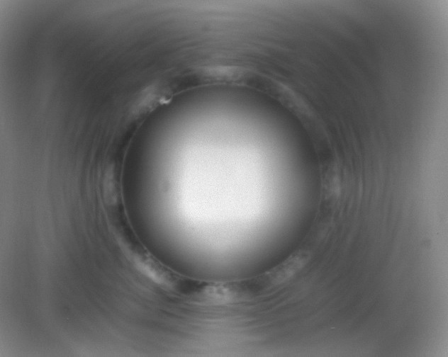 X0000082140764200702021609