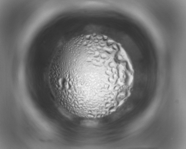 X0000082140765200702021609