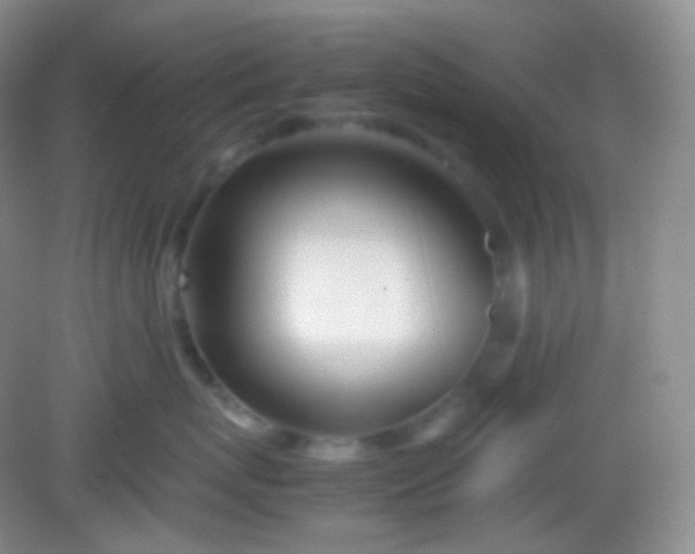X0000082140767200702021609