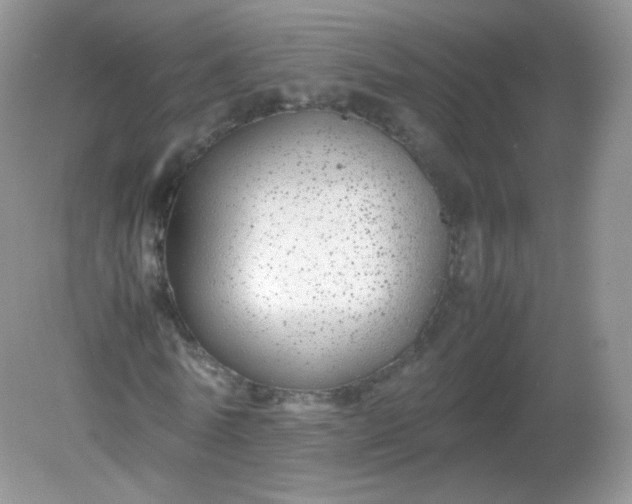 X0000082140770200702021608
