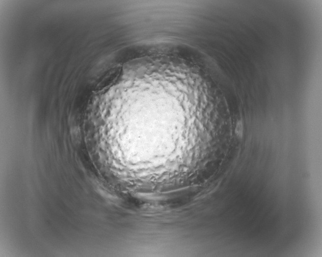 X0000082140771200702021608