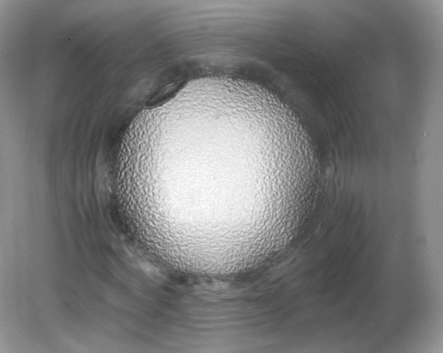 X0000082140772200702021608