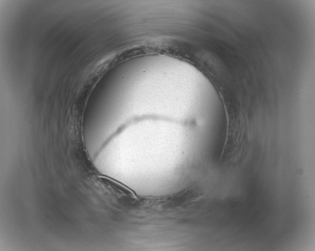 X0000082140773200702021608