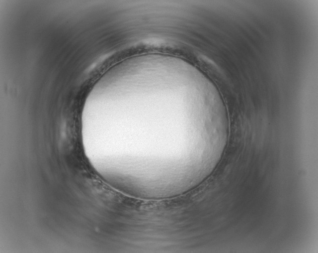 X0000082140776200702021608