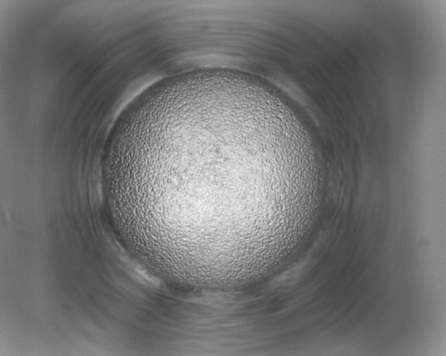 X0000082140782200702021608
