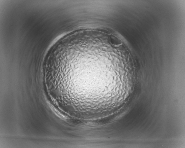 X0000082140787200702021608