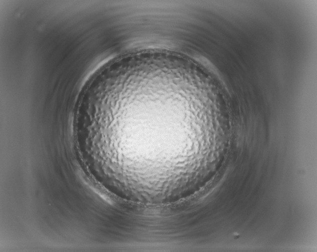 X0000082140790200702021608
