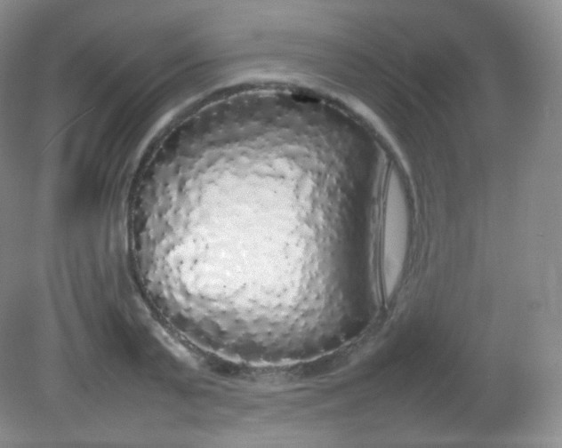 X0000082140791200702021608