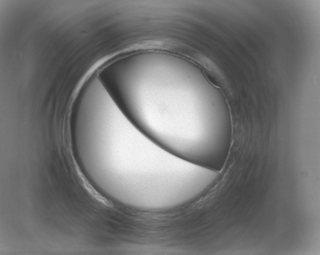 X0000082140792200702021608