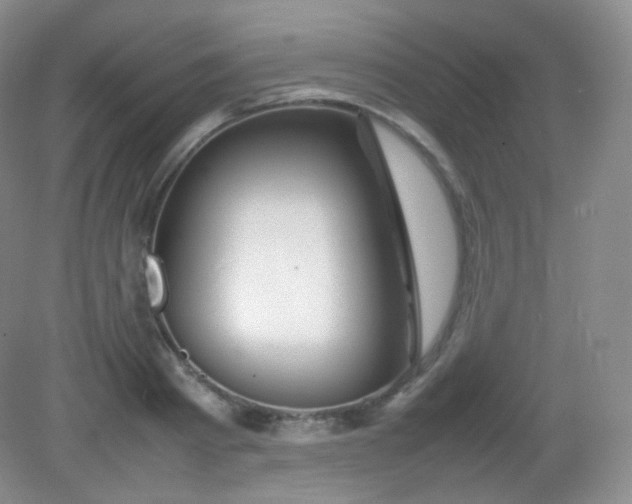 X0000082140793200702021608