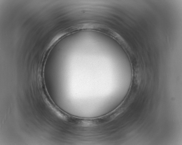X0000082140794200702021608