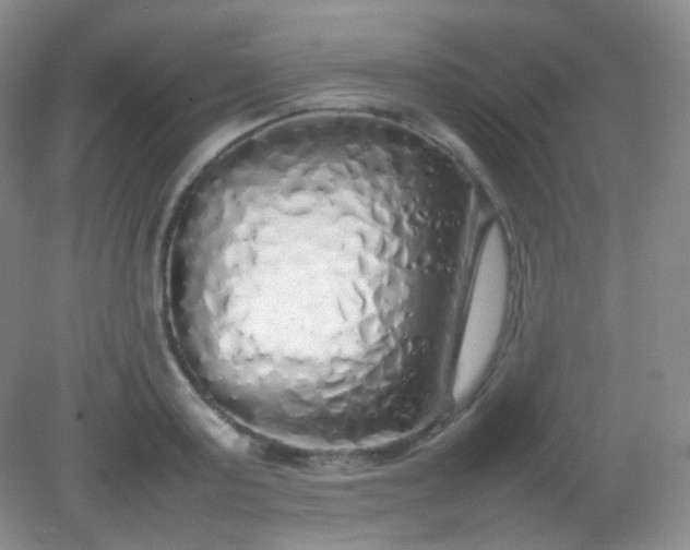 X0000082140795200702021608