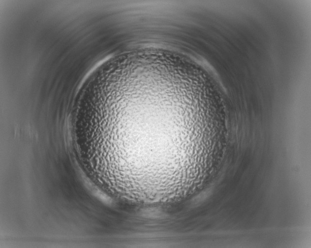X0000082140798200702021608