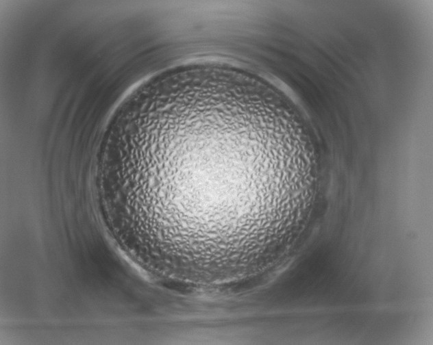 X0000082140799200702021608