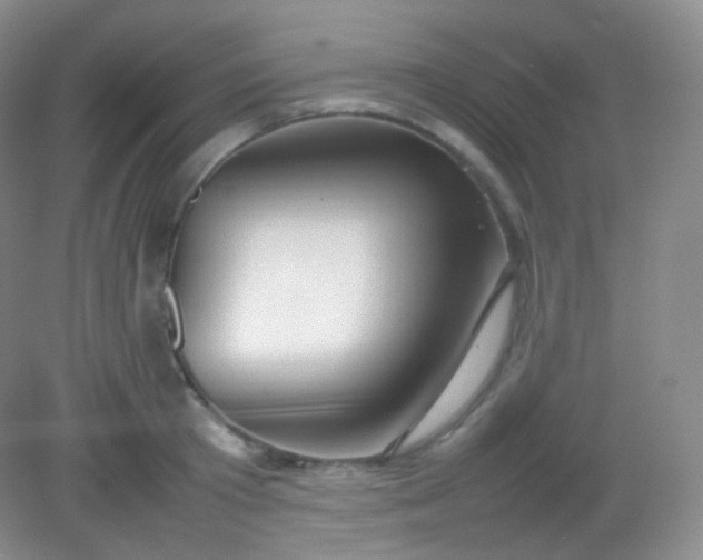X0000082140801200702021608