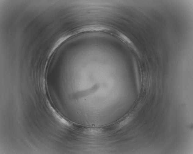 X0000082140802200702021608