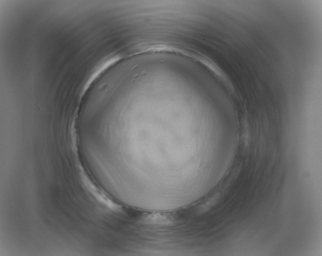 X0000082140806200702021608