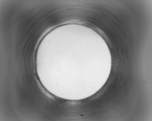 X0000082140808200702021607