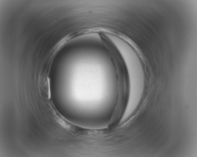 X0000082140809200702021607